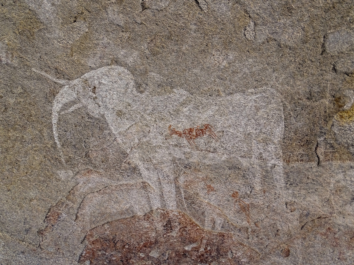 ameib-gästehaus-camping-phillips-cave-bulls-party©hagen-denker_8