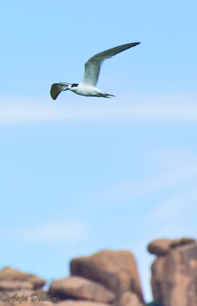 ameib-gästehaus-camping-phillips-cave-bulls-party©anja-denker_4