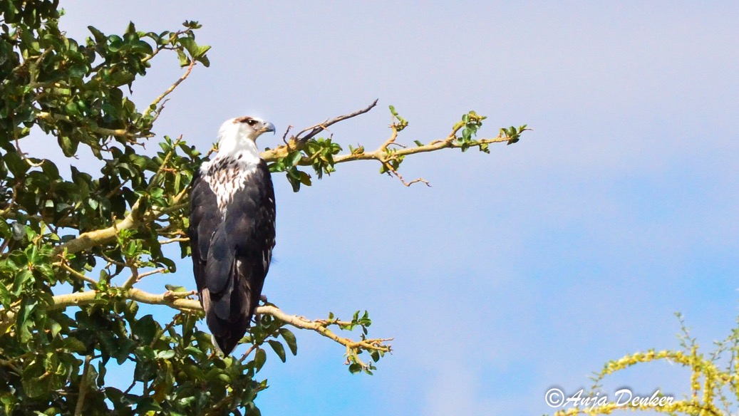 ameib-gästehaus-camping-phillips-cave-bulls-party©anja-denker_5