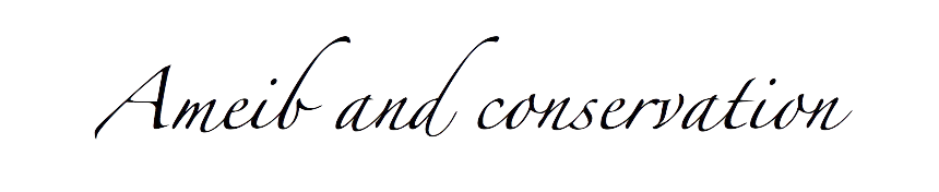 ameib-guesthouse-and-camping-phillips-cave-bulls-party©ameib_5